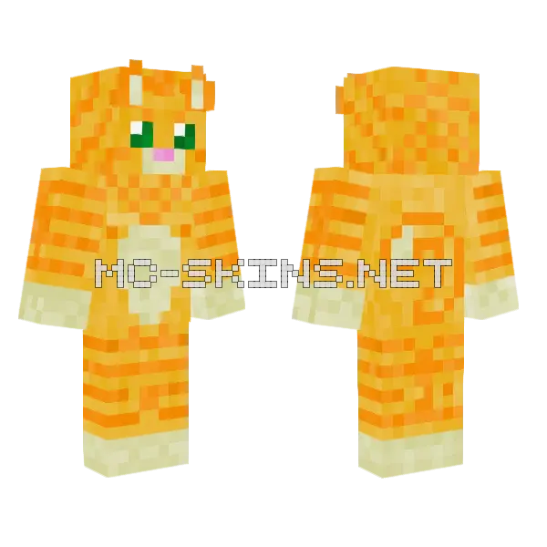 Orange Tabby Cat, front and back