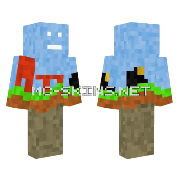 Overworld Nether Terrain Minecraft skin, front and back