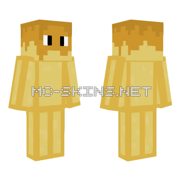Pancake Character Minecraft skin, front and back