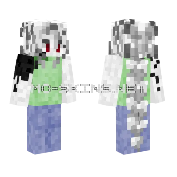 Par Skin Minecraft skin, front and back