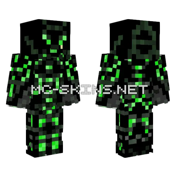 Para Skin Minecraft skin, front and back
