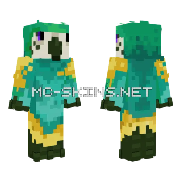 Parrotx2 Stylized Minecraft skin, front and back