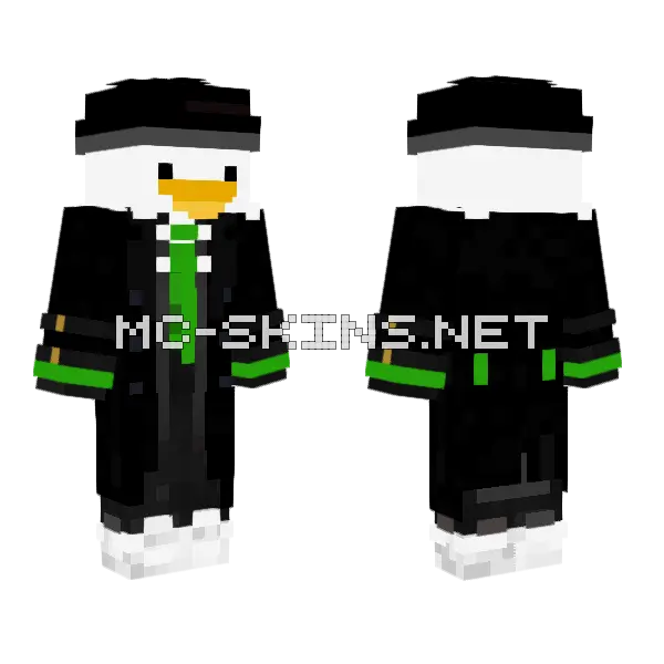 Patito Harri Pottel Verde Minecraft skin, front and back