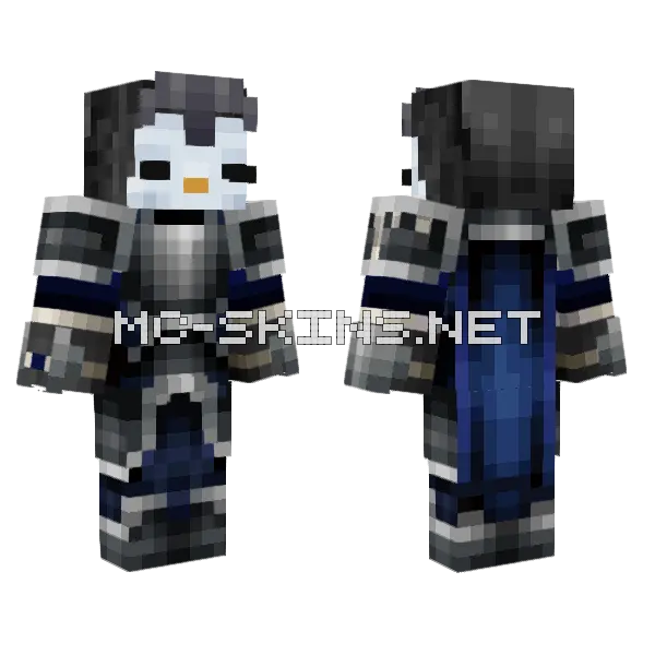 Penguin Knight 2 Minecraft skin, front and back