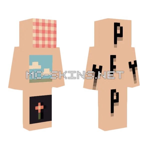 Pfp Background Ideas 3 Minecraft skin, front and back