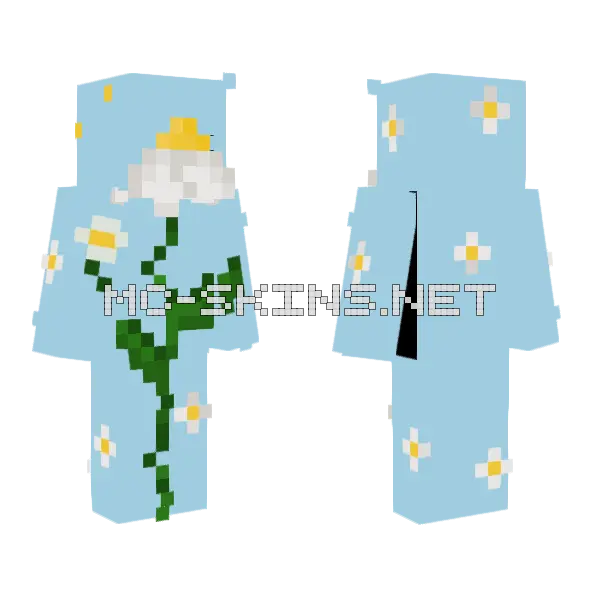 Pfp Skin Daisy Minecraft skin, front and back