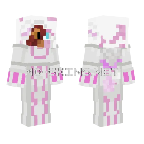 Phoenix Armor Masked Minecraft skin, front and back