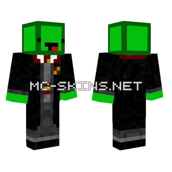 Pickledude999 Griffindor Skin Minecraft skin, front and back