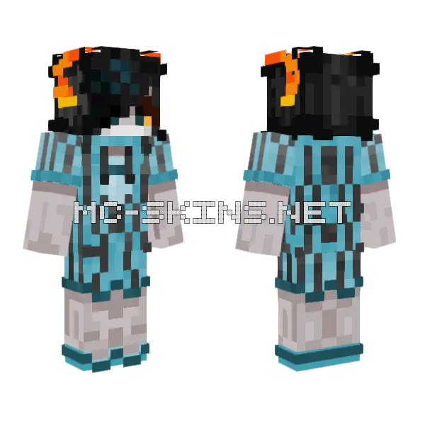 Pidgeon Skin Minecraft skin, front and back