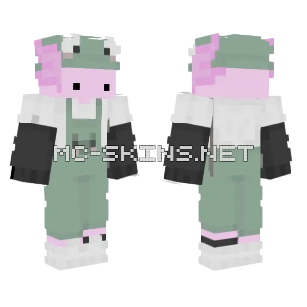 Axolotl Frog, front and back