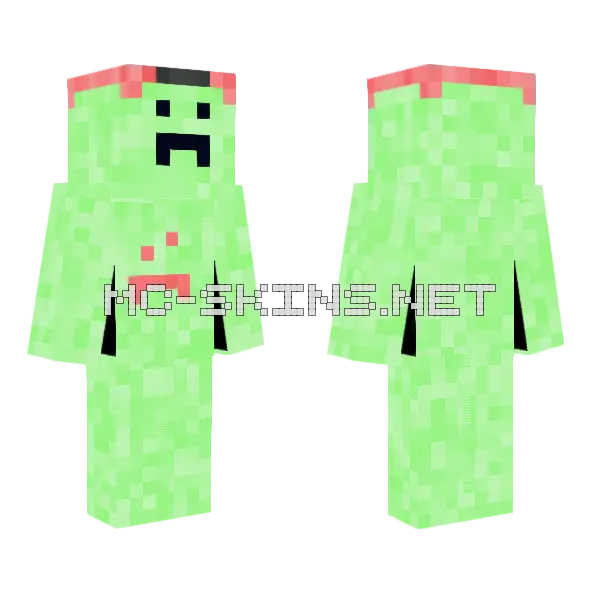Pixel Skin Minecraft skin, front and back