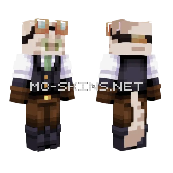 Plecub Minecraft skin, front and back