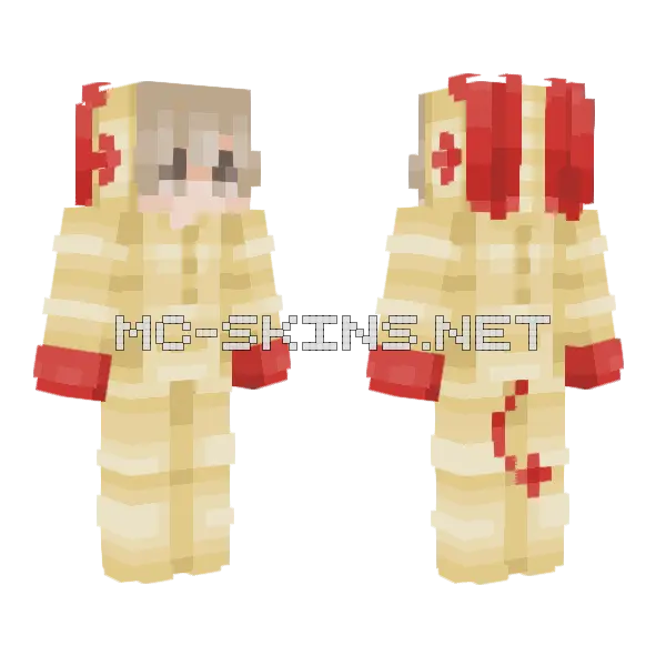 Plusle Minecraft skin, front and back