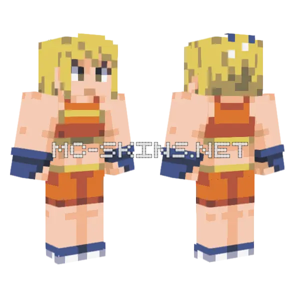 Pokemon DPPT Battle Girl Minecraft skin, front and back
