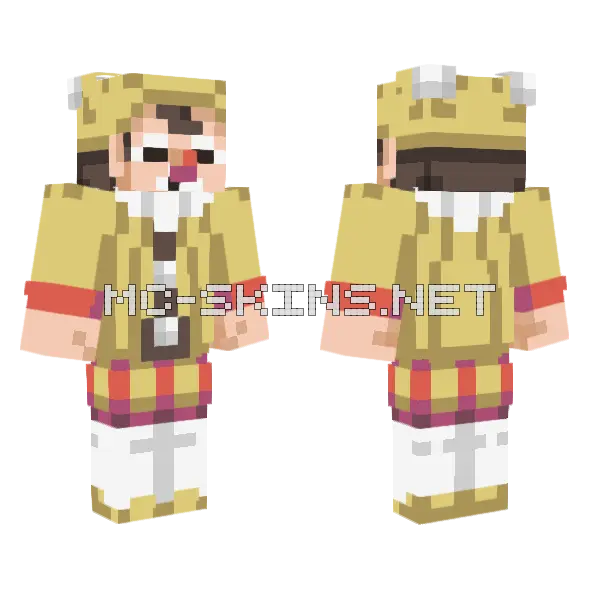 Pokemon DPPT Clown Minecraft skin, front and back