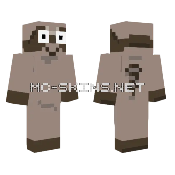 Polajrjr Raco Raccoon Minecraft skin, front and back