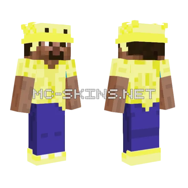 Polifiedd V3 Minecraft skin, front and back