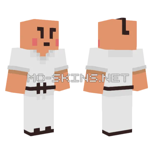 Poo Earthbound Minecraft skin, front and back