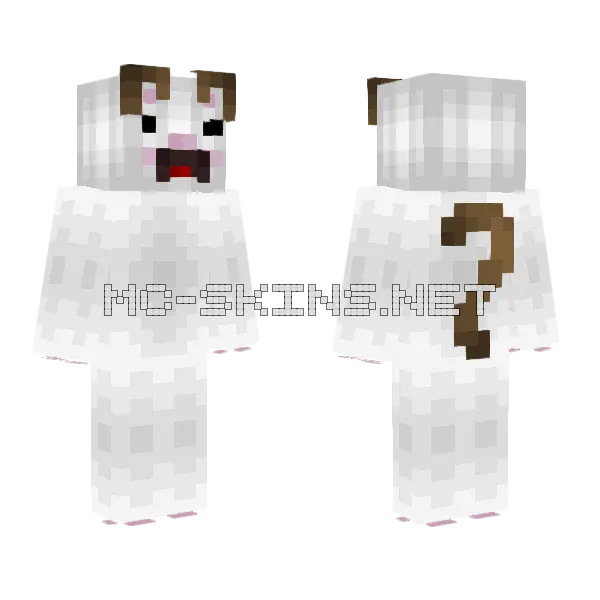 Popcat Minecraft skin, front and back