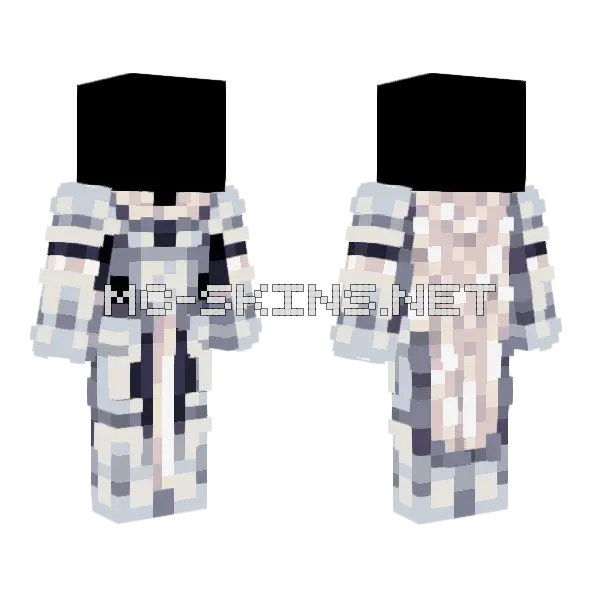 Preux Chevalier Base Bsilver Minecraft skin, front and back