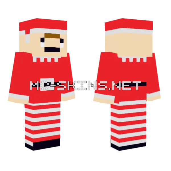 Pudsy Minecraft skin, front and back