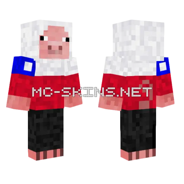 Puerco Chileno Minecraft skin, front and back