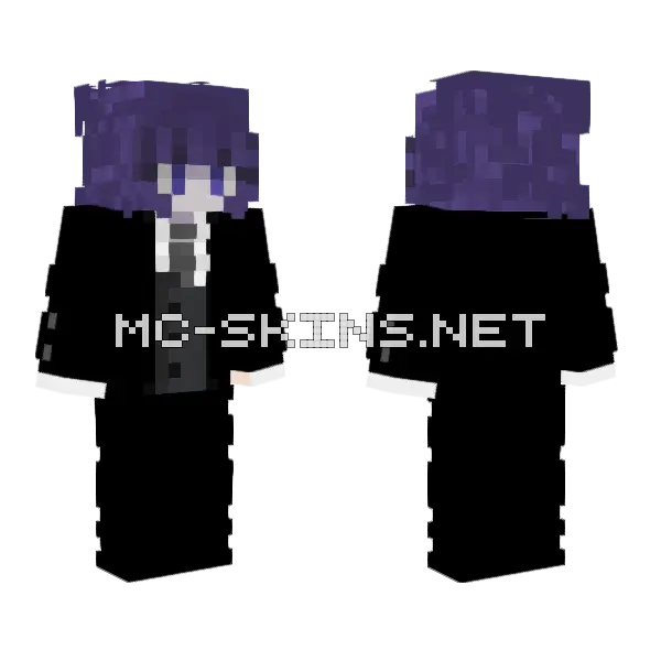 Purple Hat Wizard Minecraft skin, front and back