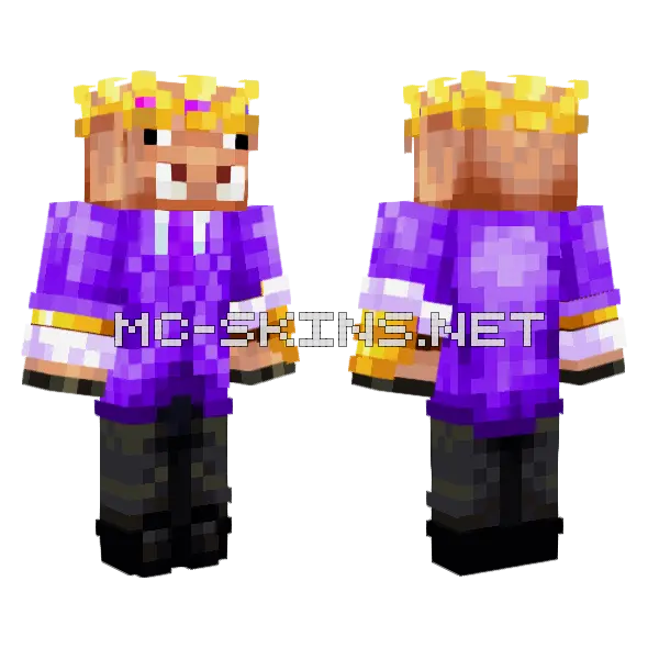 Purple Hooded Figure Minecraft skin, front and back