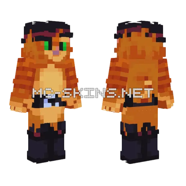 Puss In Boots Minecraft skin, front and back