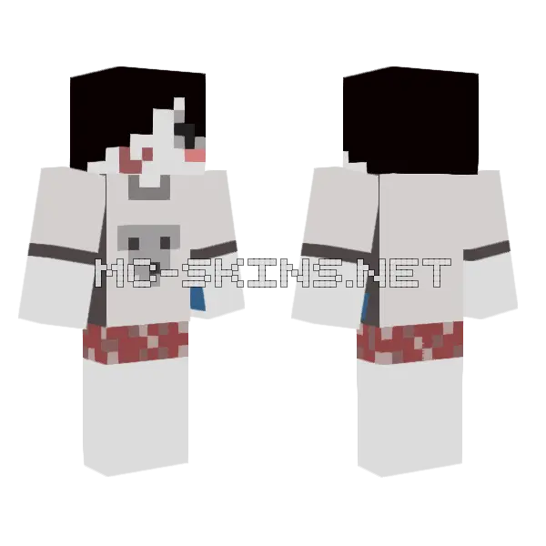 Qergwbeafgqerqegr Boy Minecraft skin, front and back