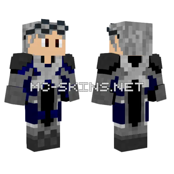 Quuick Silver Minecraft skin, front and back