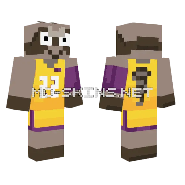 Raccoon Basketball Jersey, front and back