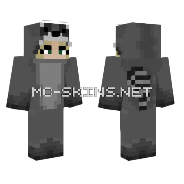 Raccoon Minecraft skin, front and back