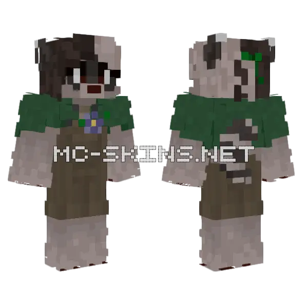Raccoon Character Skin Minecraft skin, front and back