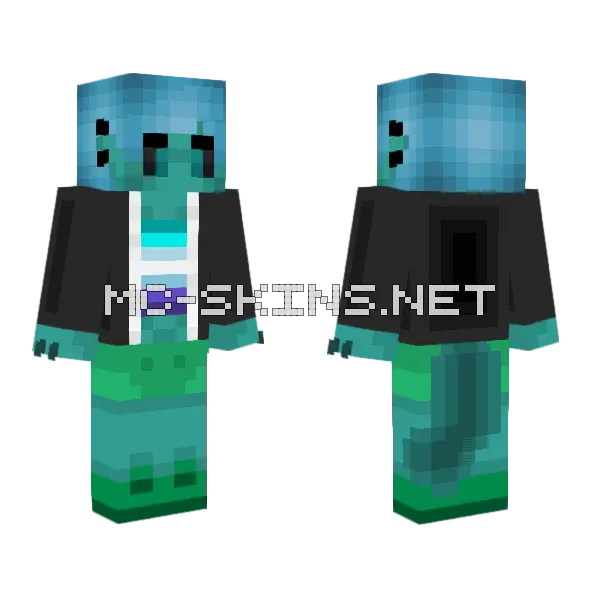 Rainn Cosmos Minecraft skin, front and back
