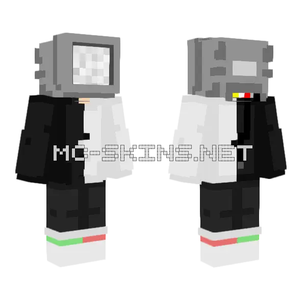 Ranboo Edition Skin Minecraft skin, front and back