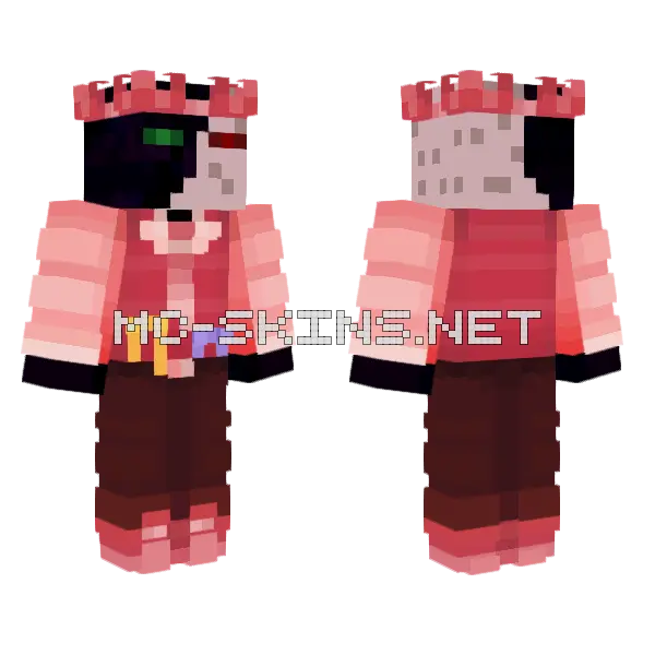 Ranboo Pink Parrots Minecraft skin, front and back