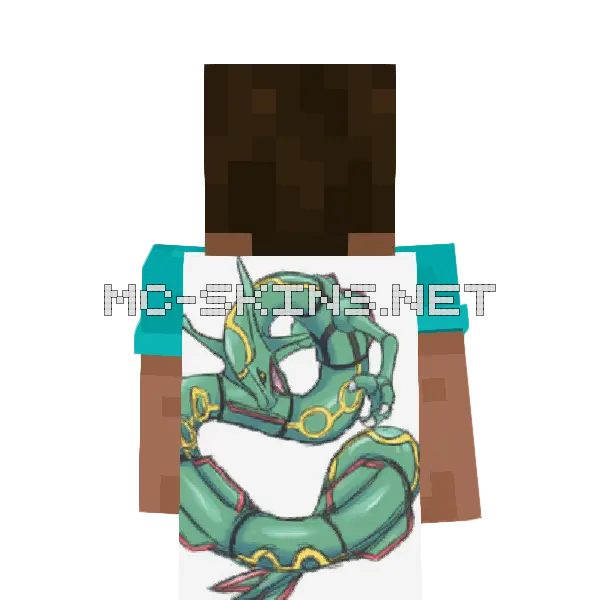 Rayquaza cape, outside and lining