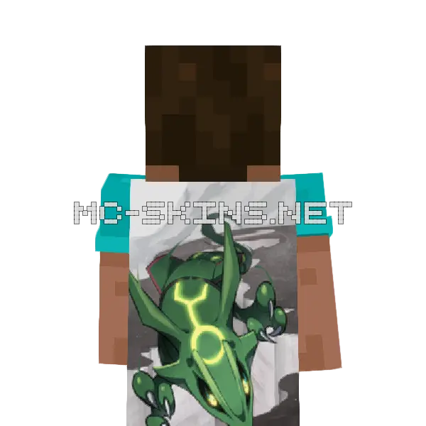 Rayquaza Flying cape, outside and lining