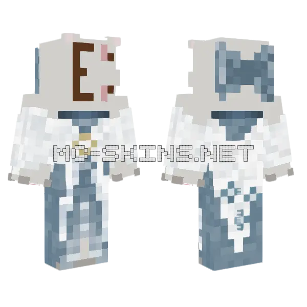 Realized Head Looked Stupid Minecraft skin, front and back