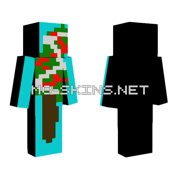 Recorder Skin Minecraft skin, front and back