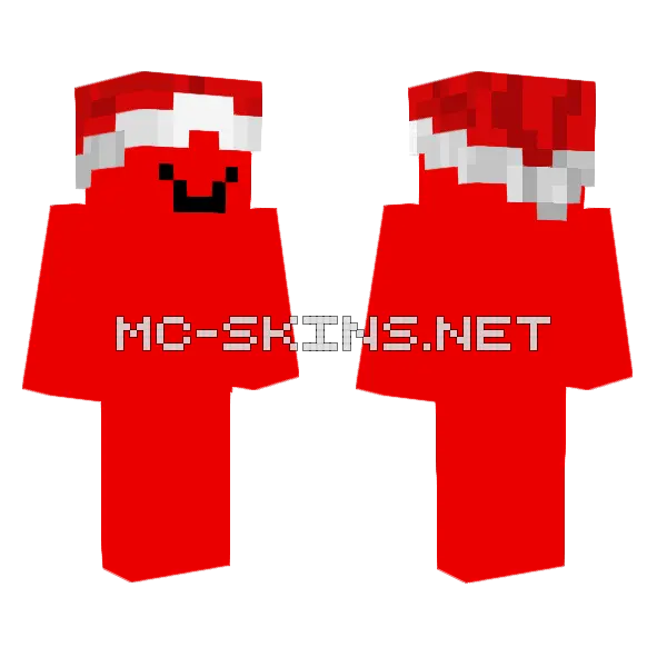 Red Santa Hat, front and back