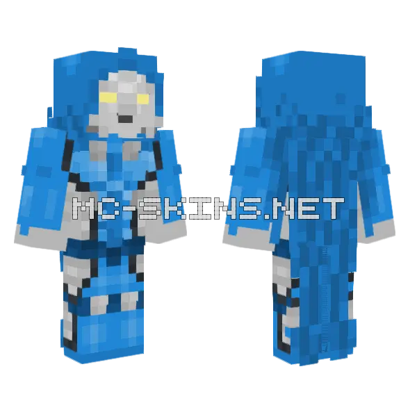 Reed Richards Dr Doom Minecraft skin, front and back