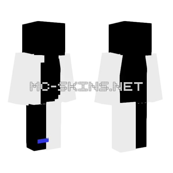 Reject Inverted Minecraft skin, front and back