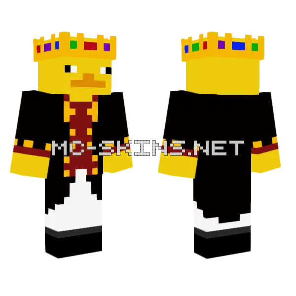 Return Of Duck Lord Emrion Minecraft skin, front and back