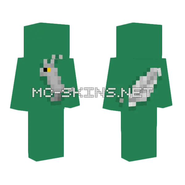 RIP Timmy My MC Parrot Minecraft skin, front and back