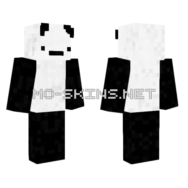 Rkirax Classic Minecraft skin, front and back