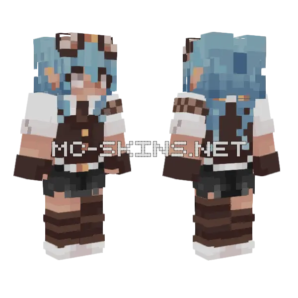 Robin V2 Minecraft skin, front and back
