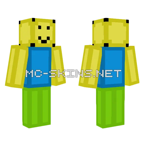Roblox Flower Minecraft skin, front and back