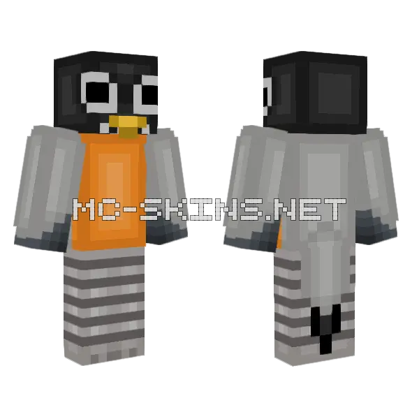 Robot Companion Minecraft skin, front and back